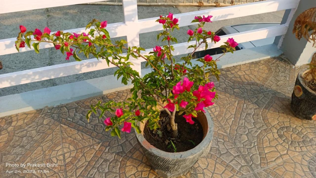 Hotel Shivalik River Retreat Almora Exterior foto
